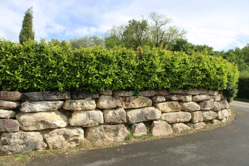 Aménagement extérieur à Mirabel